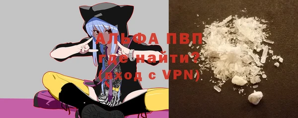 a pvp Новозыбков
