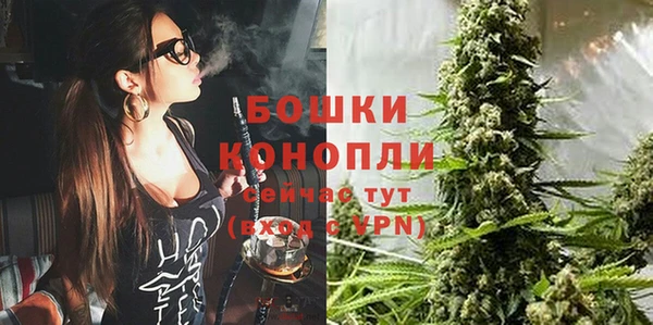 a pvp Новозыбков