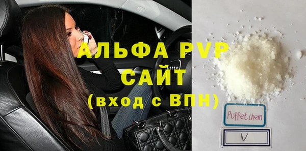 a pvp Новозыбков