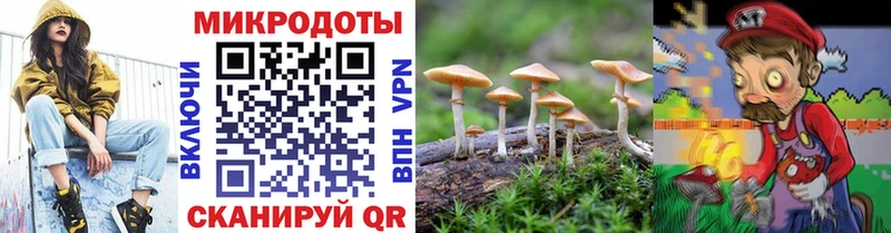 darknet как зайти  Лиски  Галлюциногенные грибы мицелий  где можно купить наркотик 